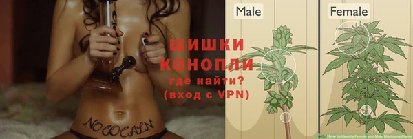 метадон Фёдоровский